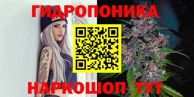 дмт Малоярославец