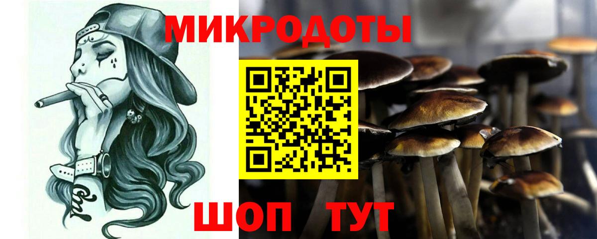 Галлюциногенные грибы Psilocybine cubensis  Галлюциногенные грибы мицелий  Вход с VPN  Сызрань 